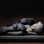EXTRACTIONS 26
