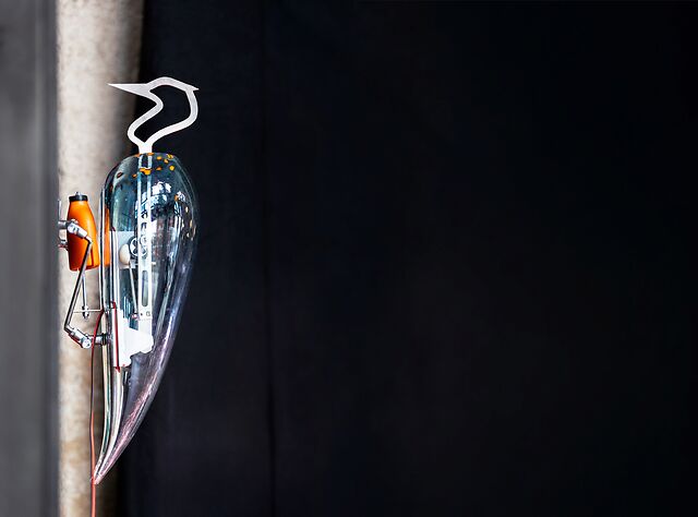 The Garden of the Future: WOODPECKER